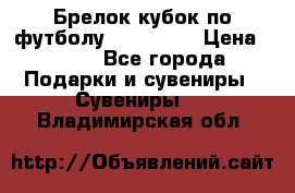 Брелок кубок по футболу Fifa 2018 › Цена ­ 399 - Все города Подарки и сувениры » Сувениры   . Владимирская обл.